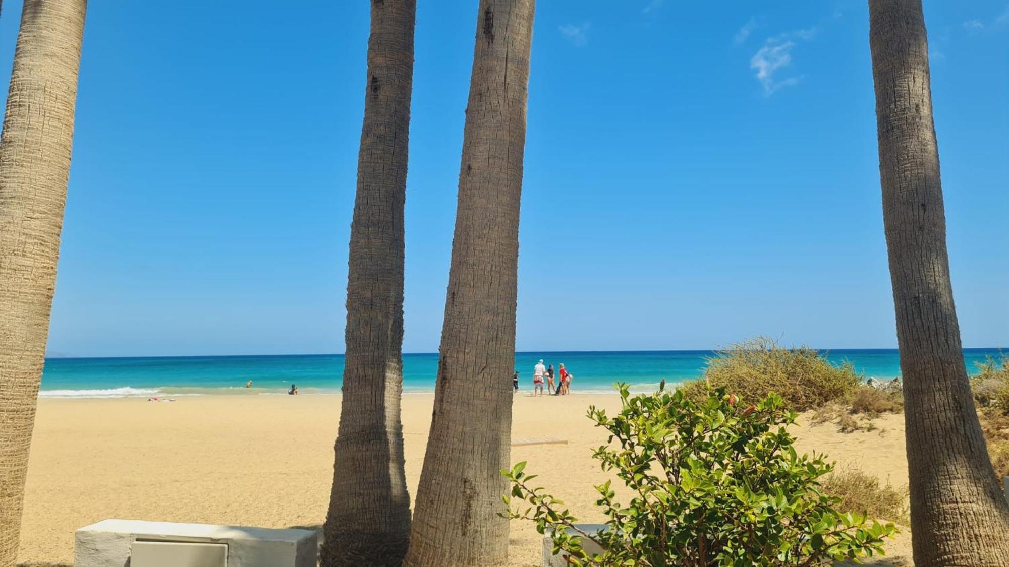 Beachhouse La Palma 科斯塔卡玛 外观 照片